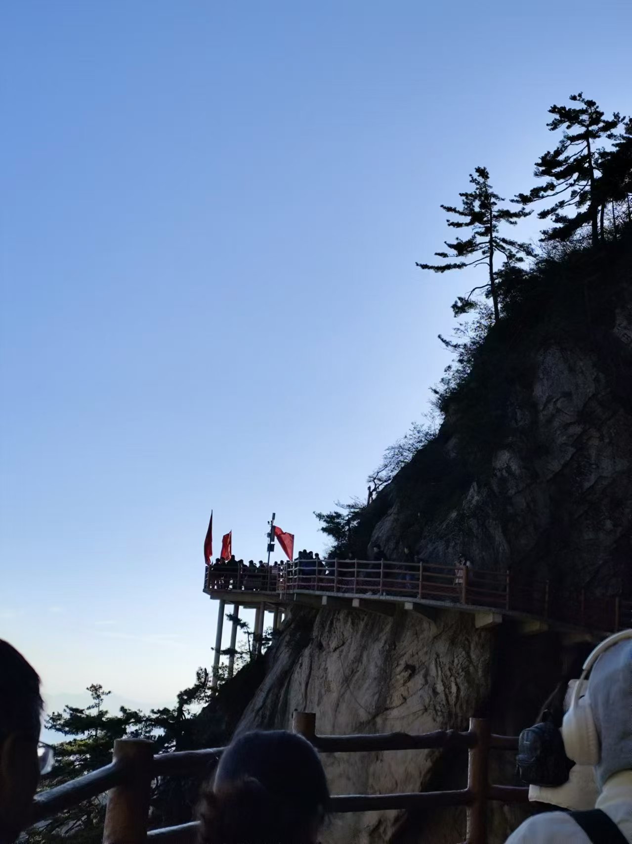tzjjwhw-3